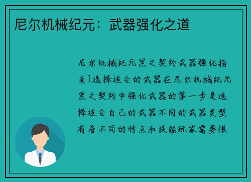 尼尔机械纪元：武器强化之道